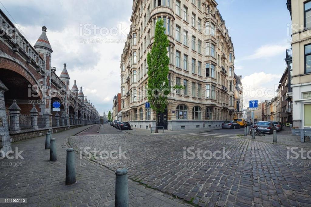 Cozy Antwerp - Zurenborg Skyline Eksteriør billede